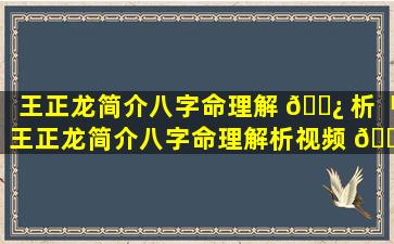 王正龙简介八字命理解 🌿 析「王正龙简介八字命理解析视频 🐶 」